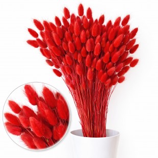 Flori uscate decorative Lagurus ROSU 55 cm
